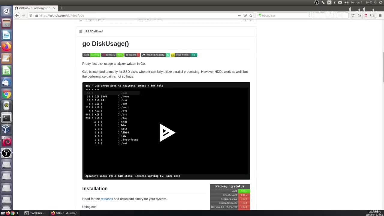 11_8 - 使用Gdu检查磁盘空间