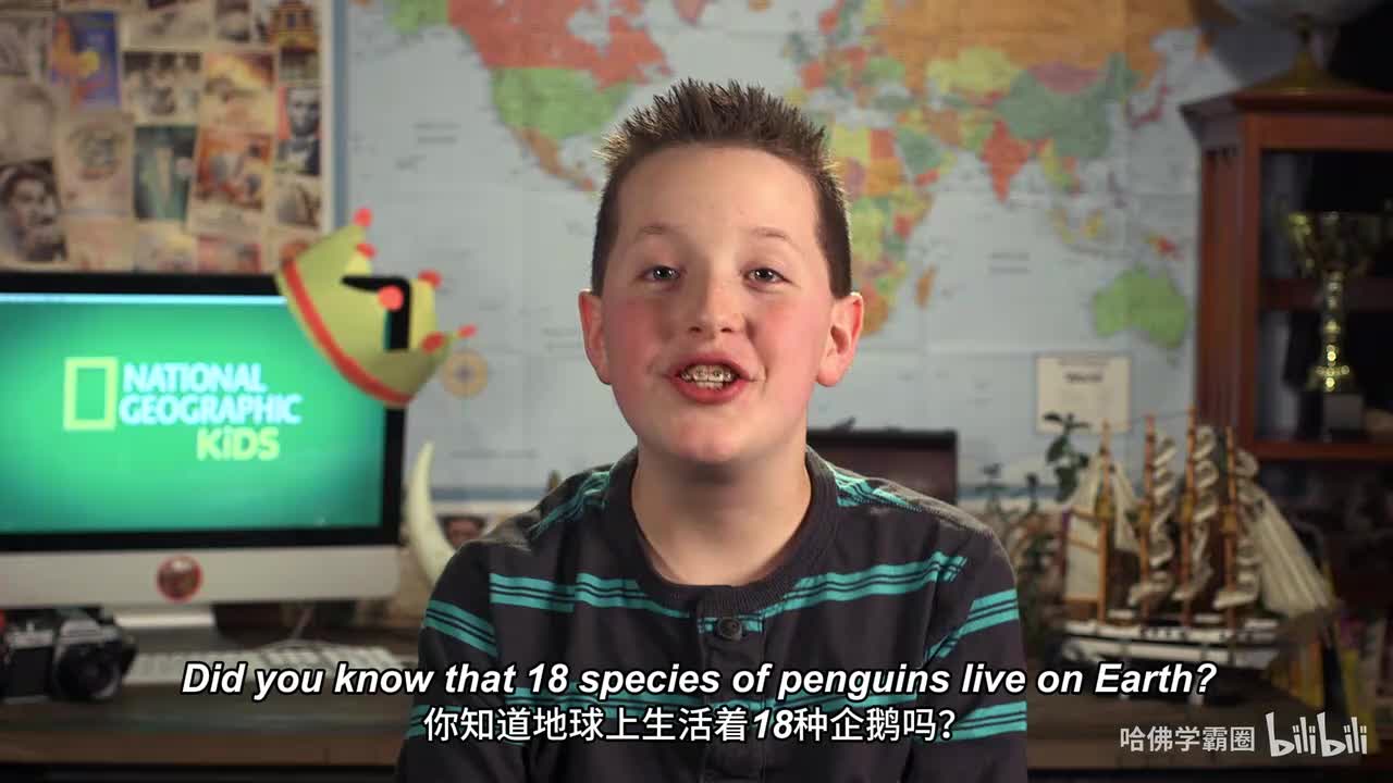 Nat Geo Kids Penguins Playlist-02-The Many Different Kinds of Penguins 中英字幕