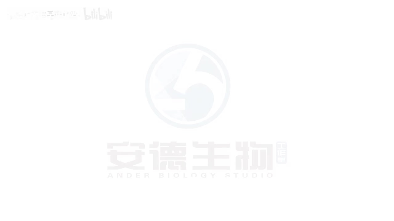 19.伴性遗传规律和方法