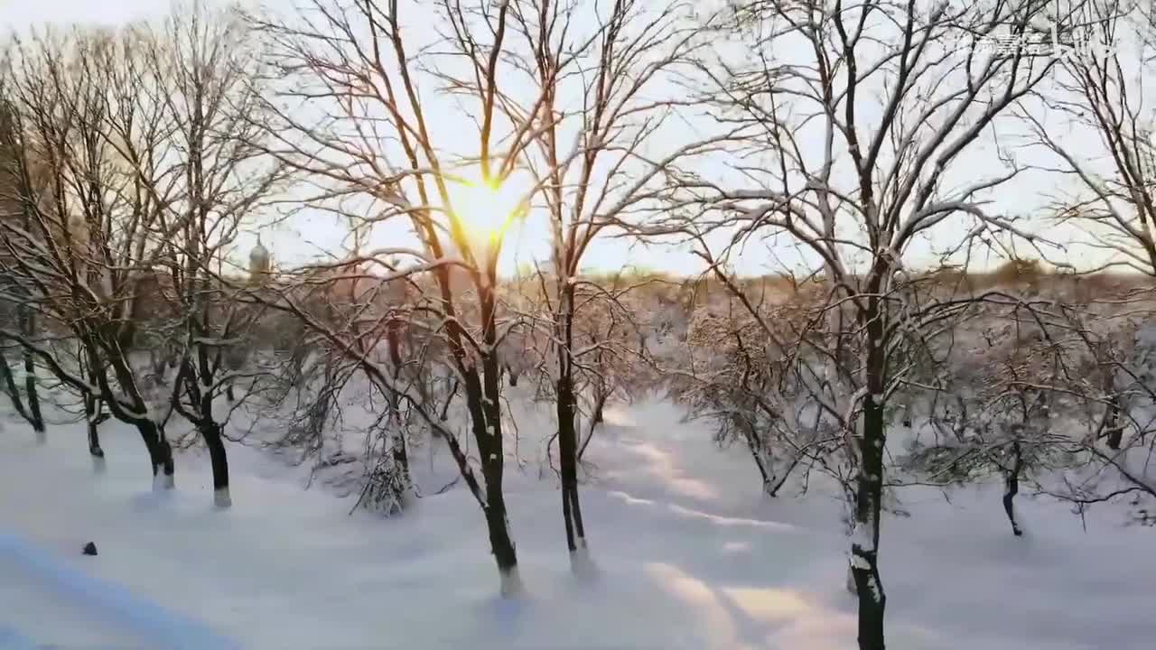 木漏れ日のささやき - 水月陵