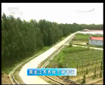 种畜场 2012.8.26