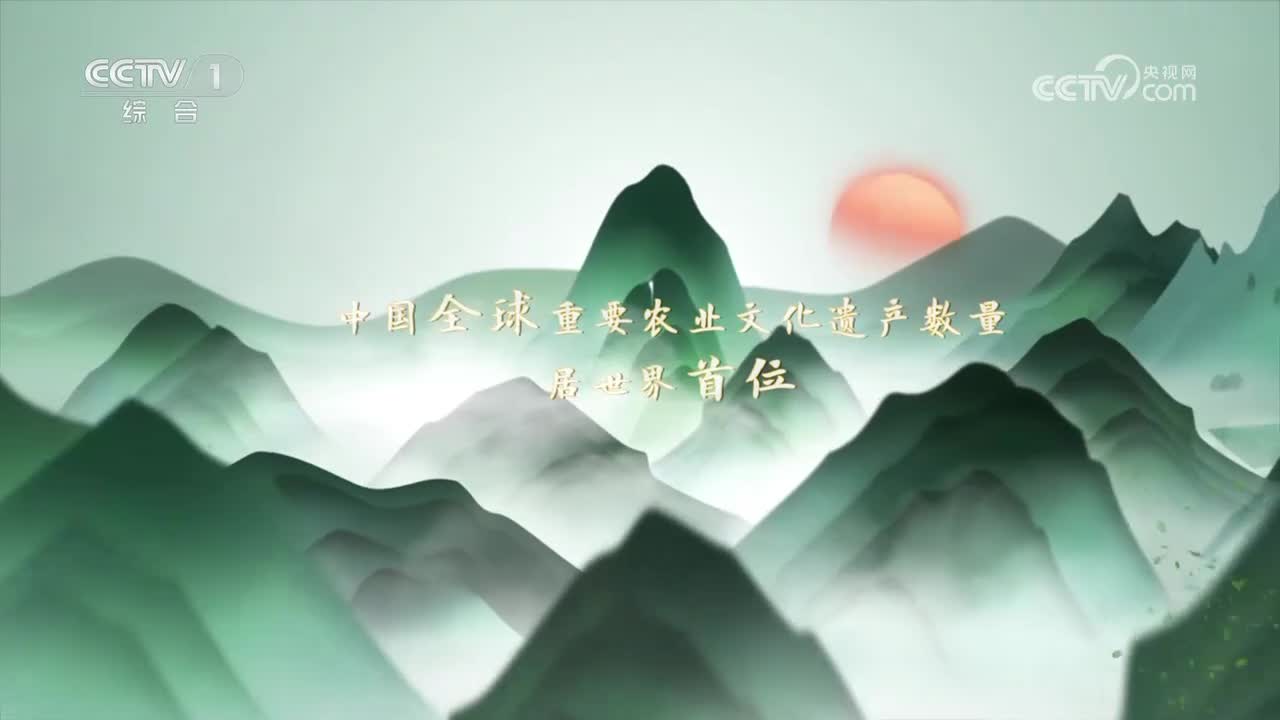 第7集 甘肃皋兰什川古梨园