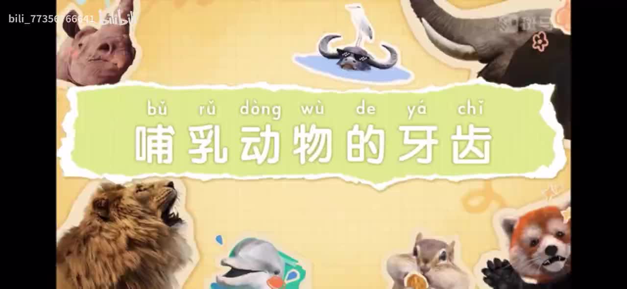 【百科启蒙动画】 B站更新最多的百科动画 搞定儿童科学启蒙 P5：05-哺乳动物的牙齿
