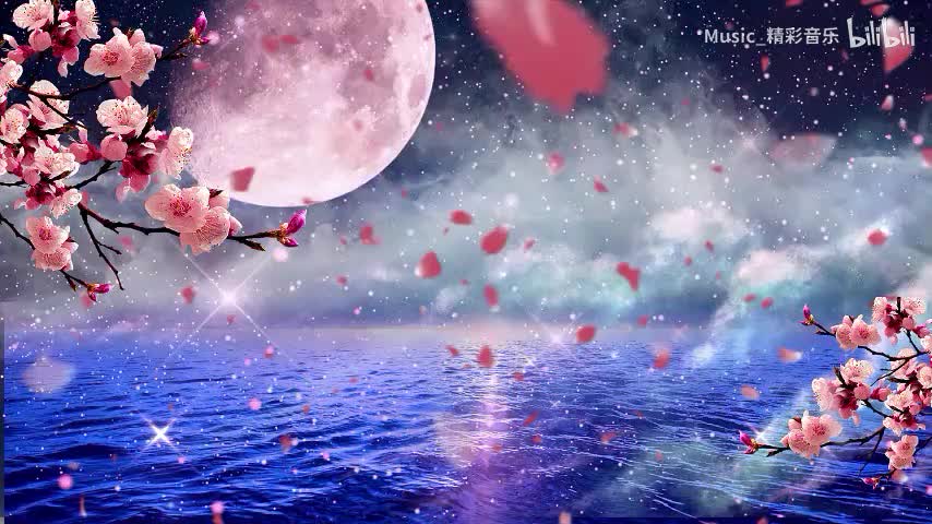 《若月亮没来》《城北的花》