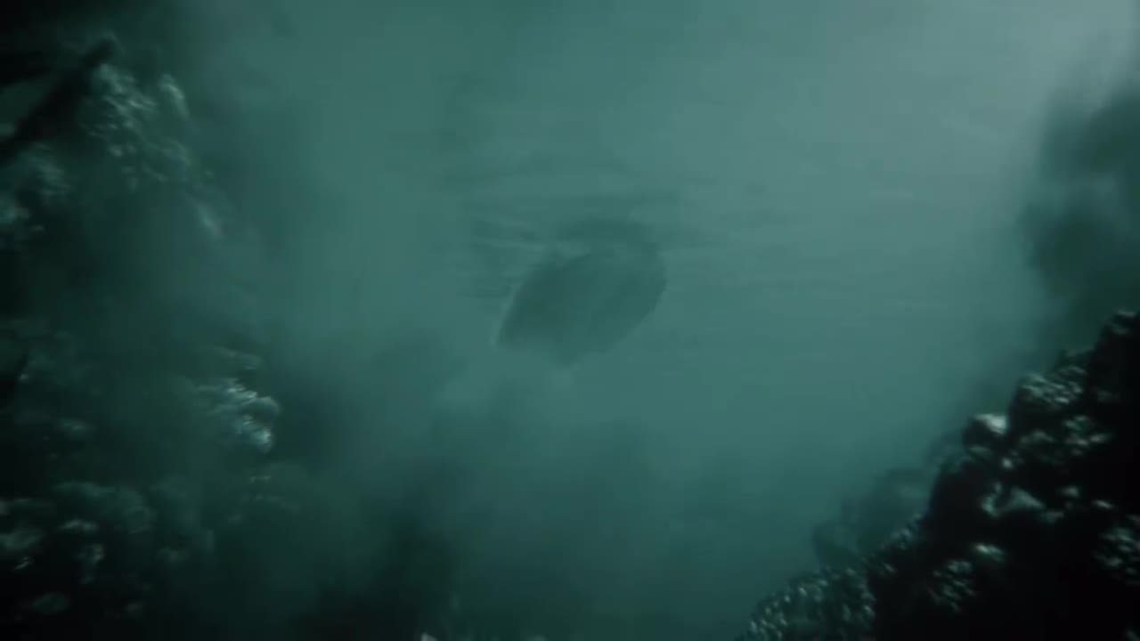 潮汐监狱 开场动画