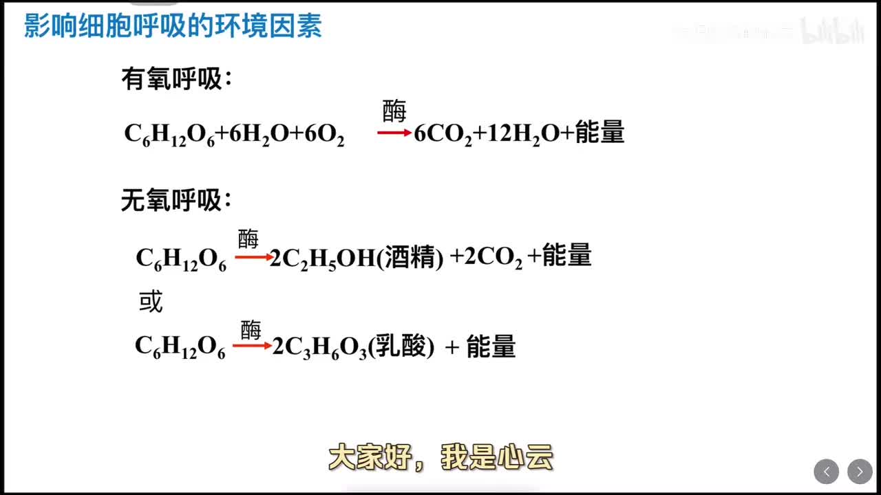 5.3 呼吸作用（第三课时）