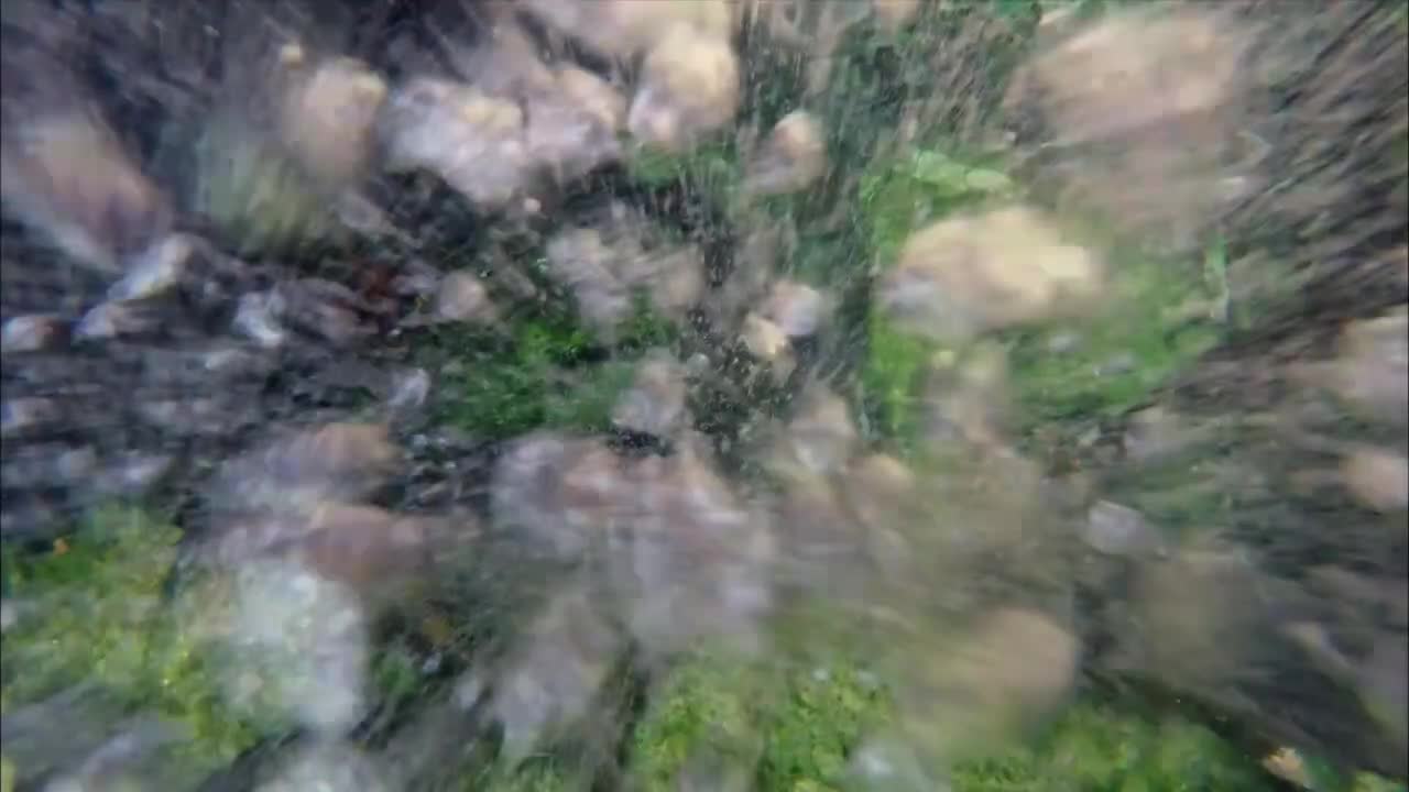 圣地 神谕之所 5