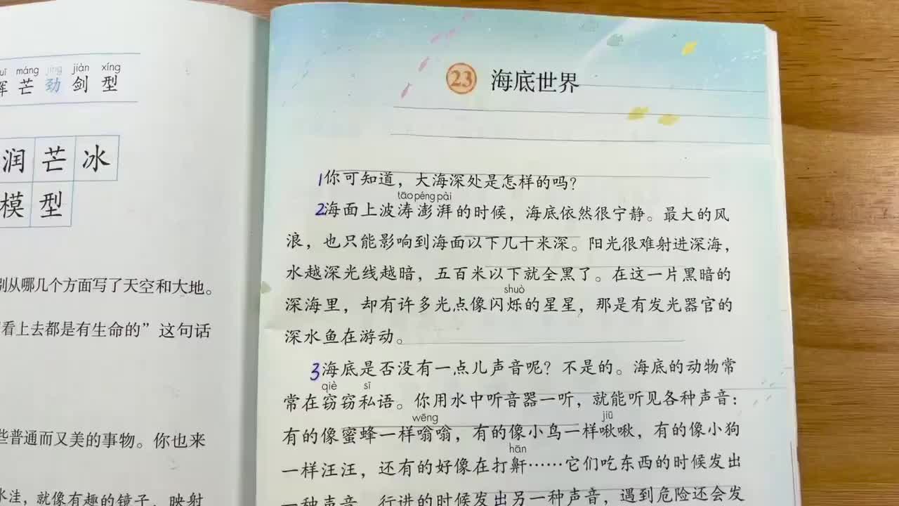 84.23-海底世界