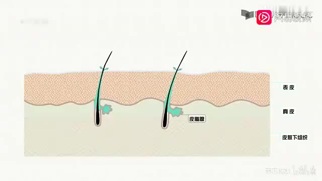 46 模块九 9.2 青春的烦恼—油腻皮肤和“痘痘”（下）
