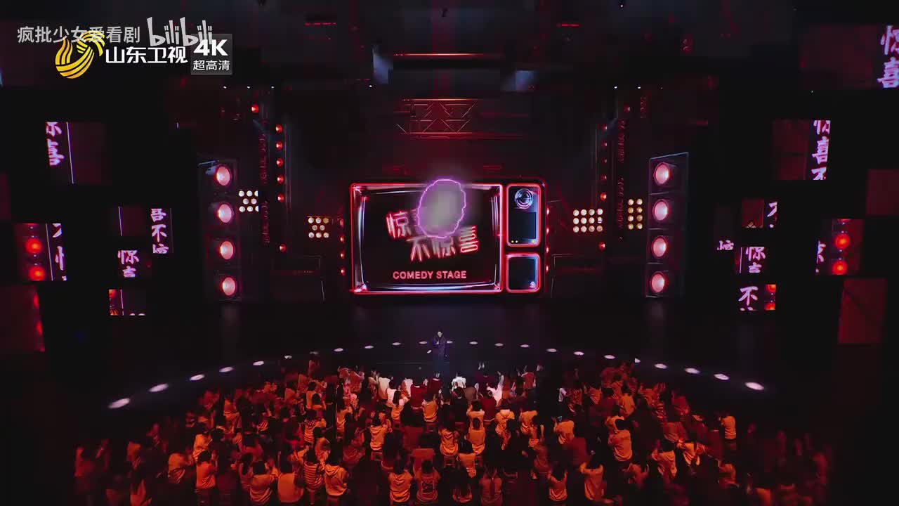 《惊喜不惊喜》倪萍