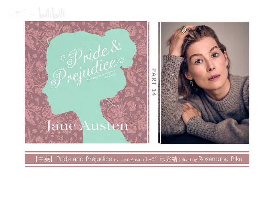 傲慢与偏见 14
