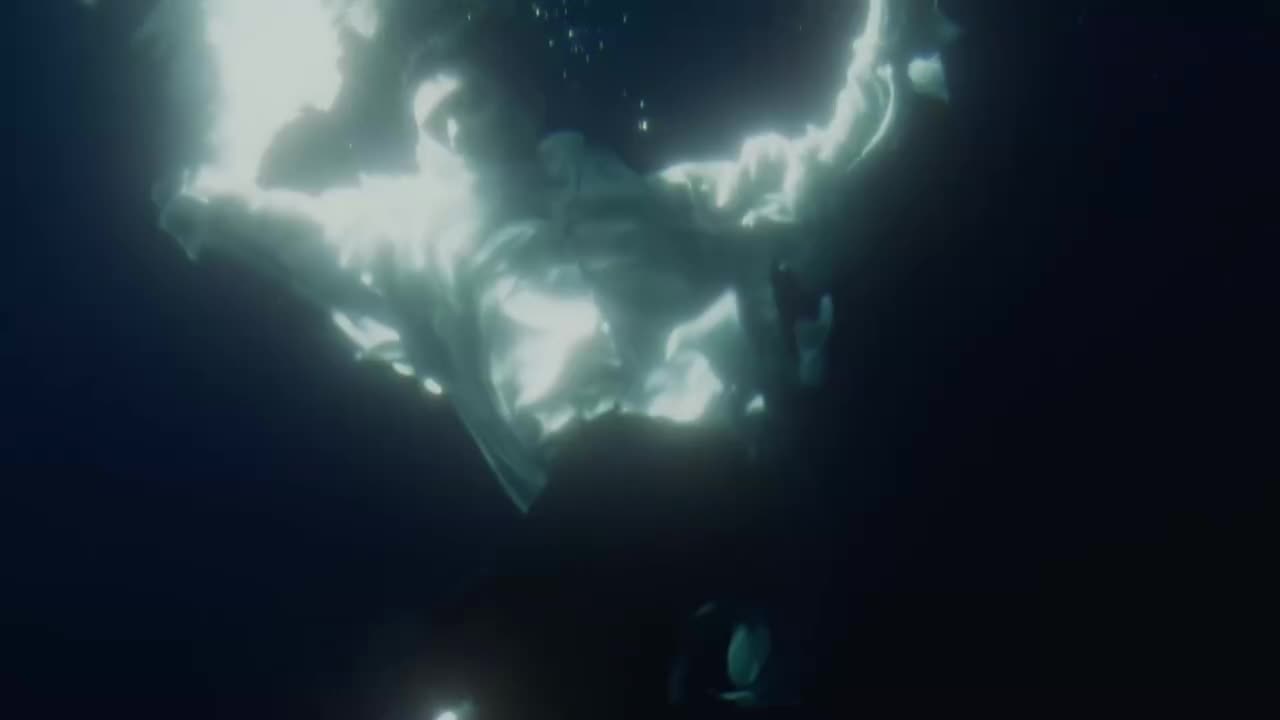 20230506 'DARK BLOOD' Concept Film (HALF Ver.)