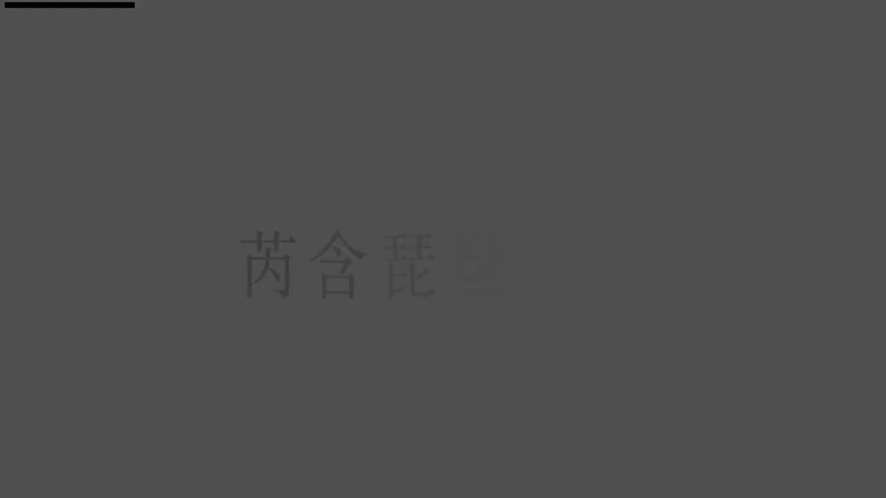 刘芮含琵琶(1-10级）全级系统课程031.弹挑轮指综合练习（下）