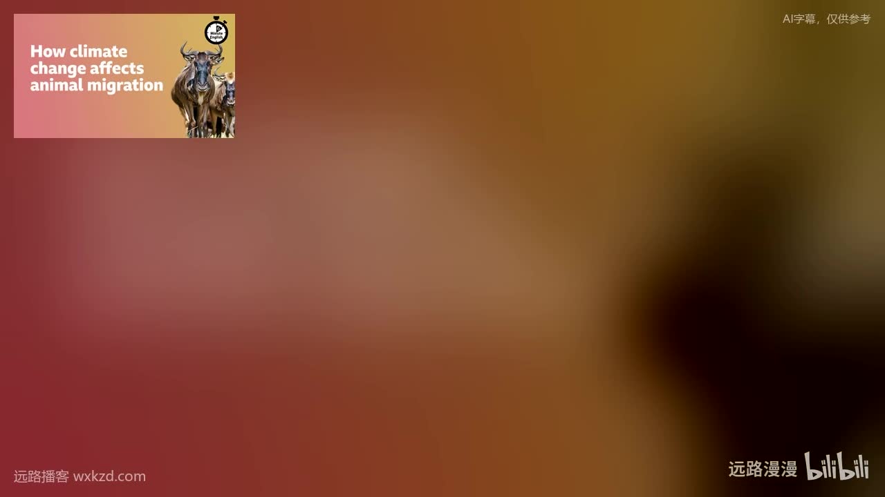 250424 - How climate change affects animal migration