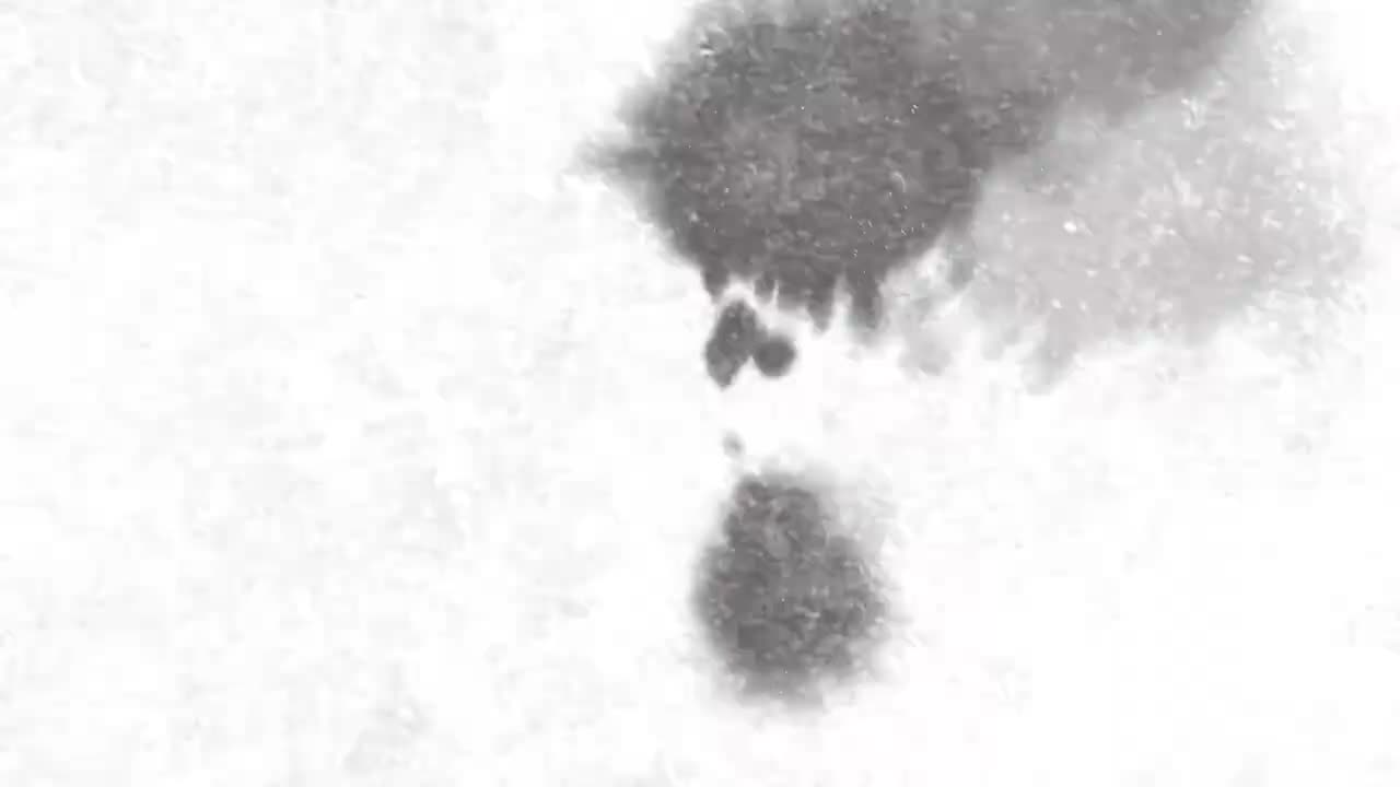 37.【四下同步作文】第六单元：我学会了_____