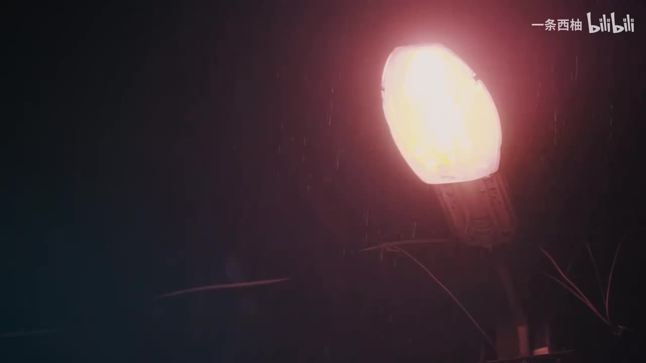 雨中氛围感 (21)