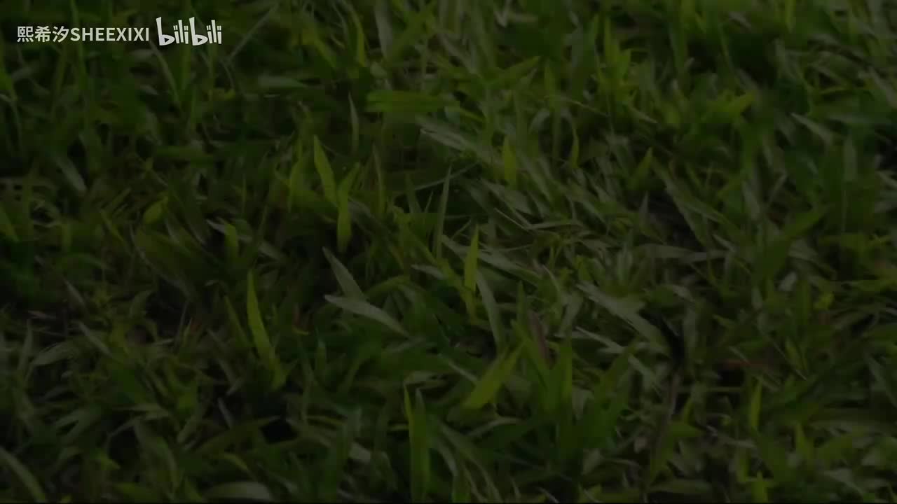 When Oranges Fall 当橘子掉落时 almondprogress kenpaul