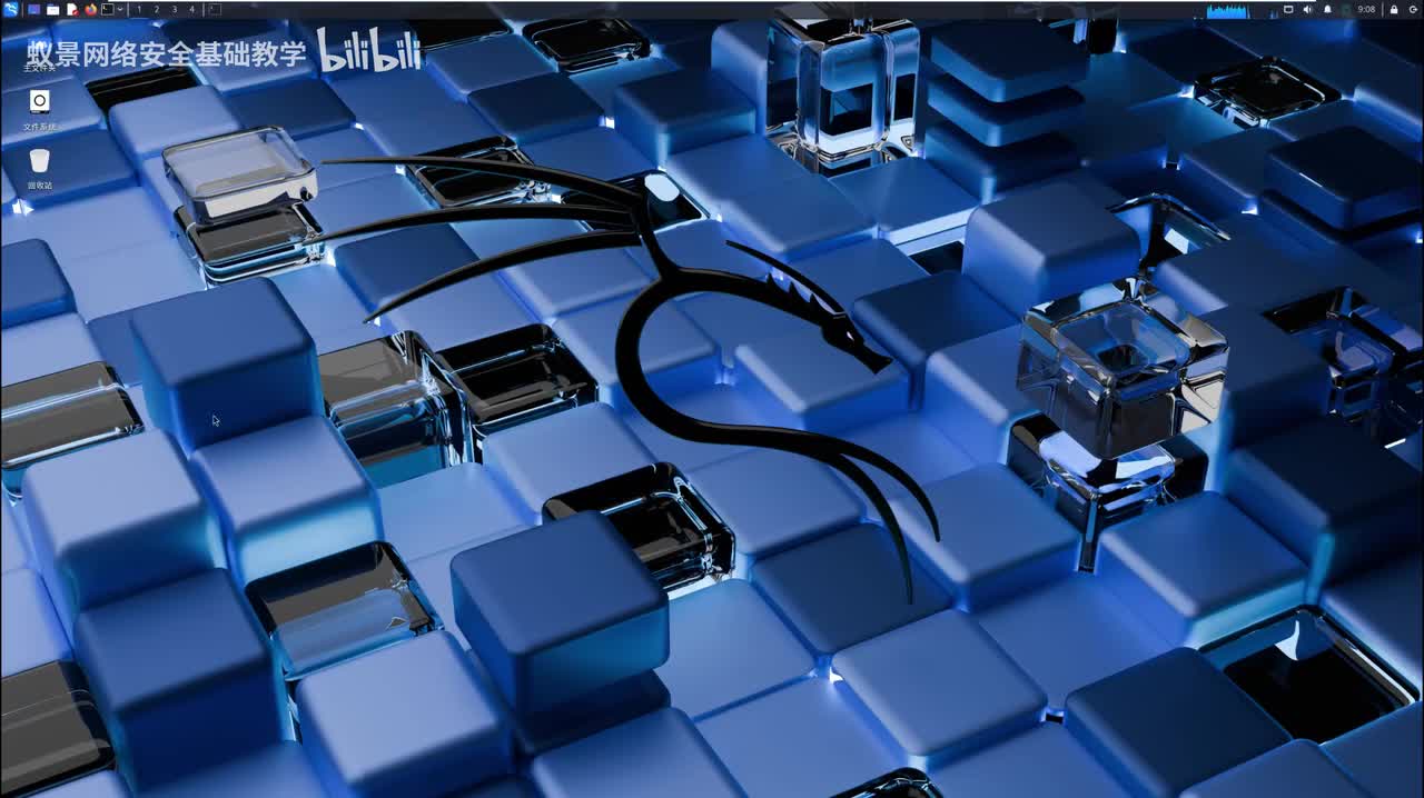 【入侵教程】8.kali是干什么的