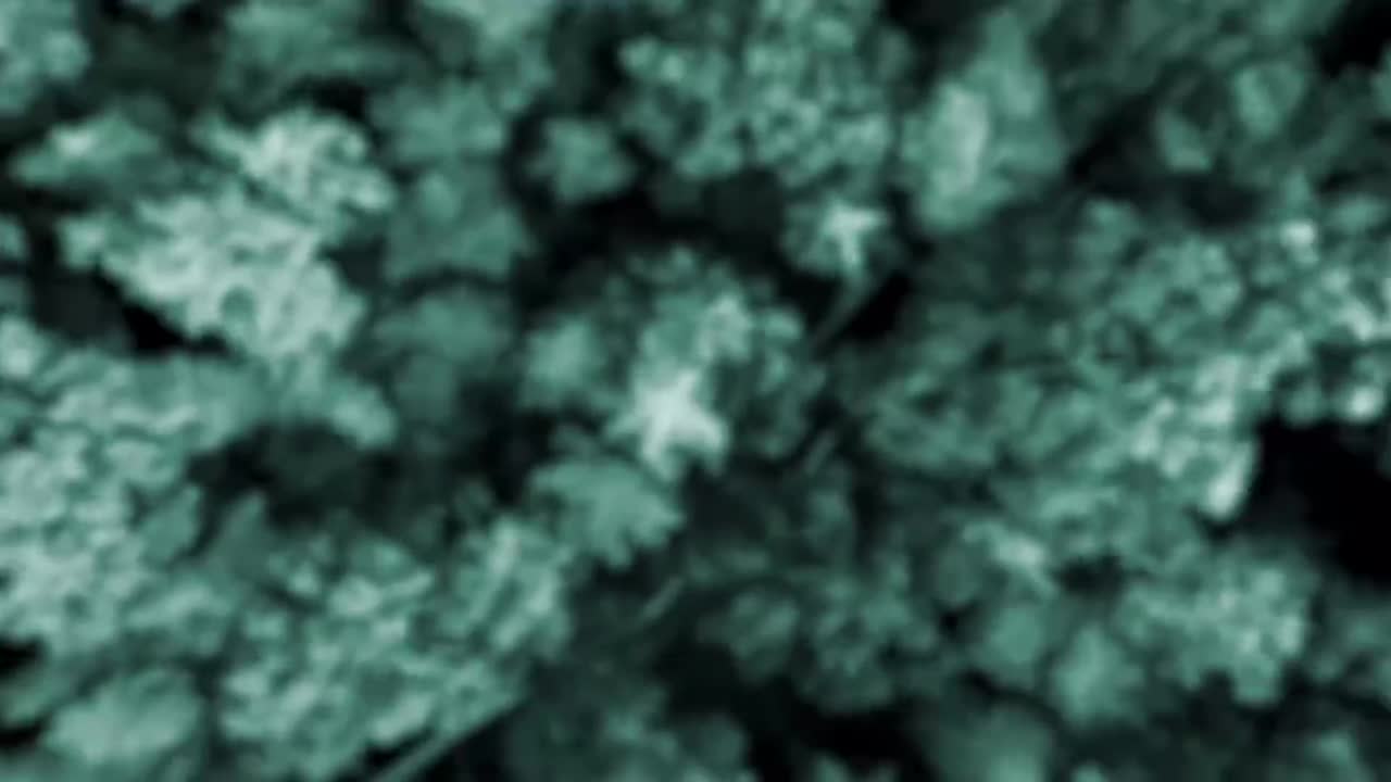 第3集：水城共融