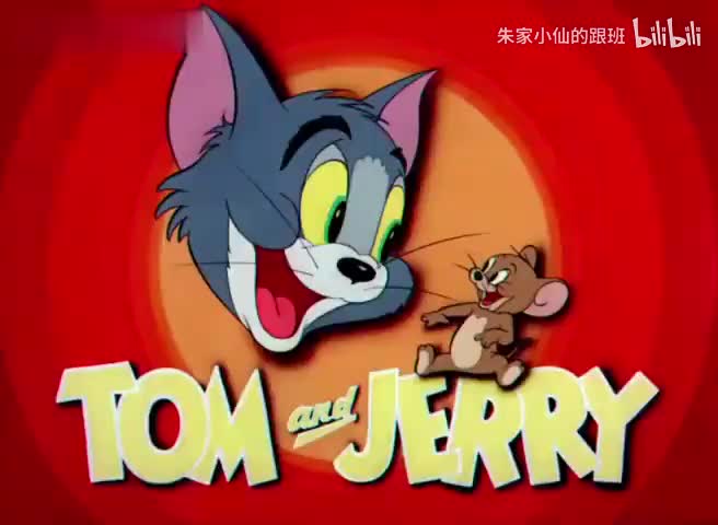 小猫猫