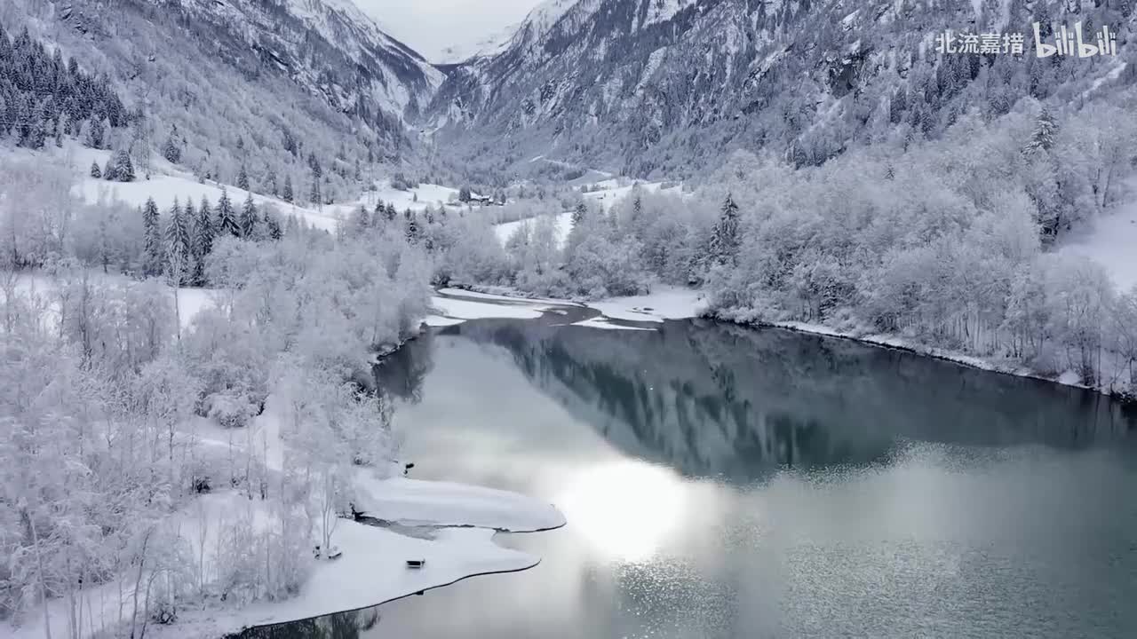 凉 - 是Arealy