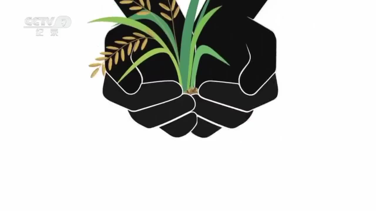 【第一集】勇敢者的较量