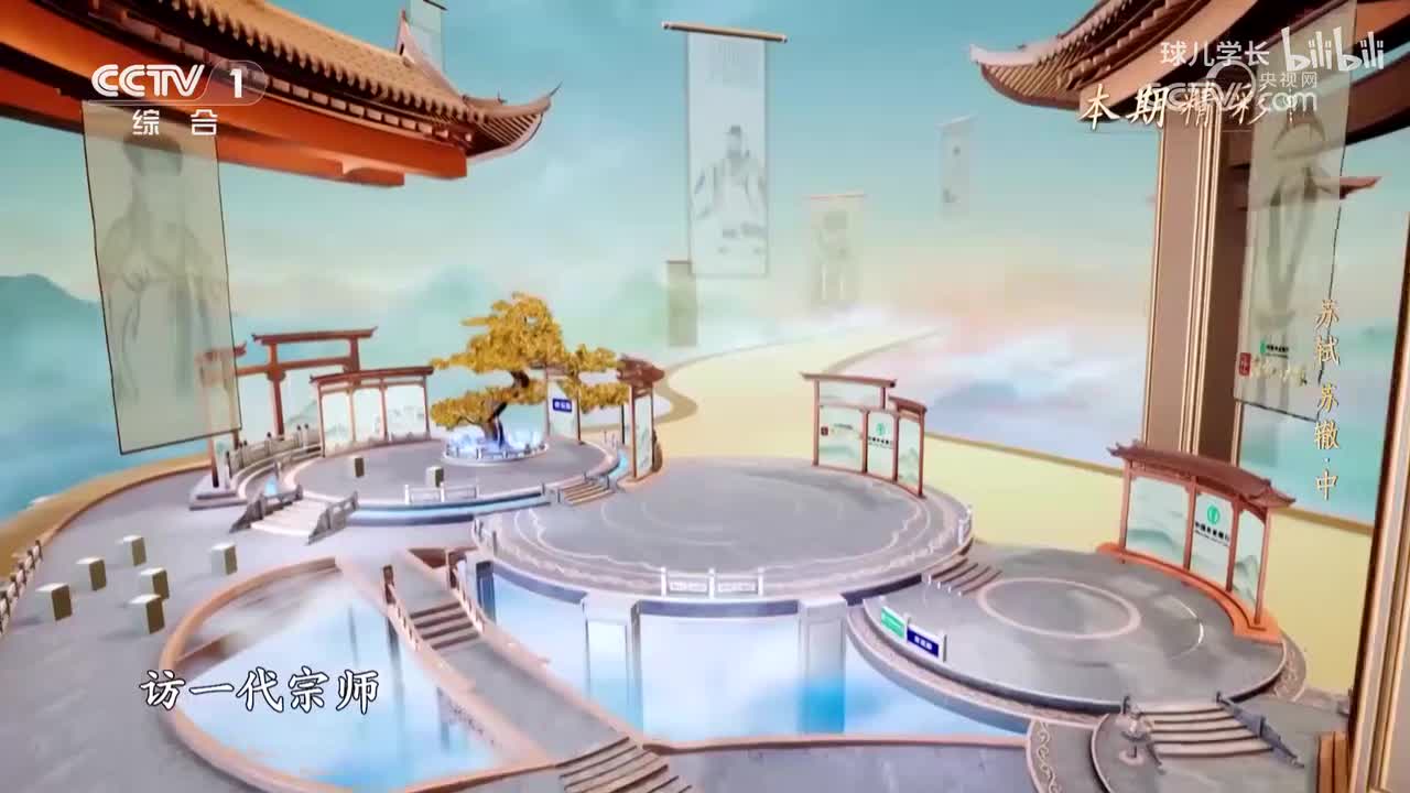 8-8.宗师列传·唐宋八大家-苏轼、苏辙(中)