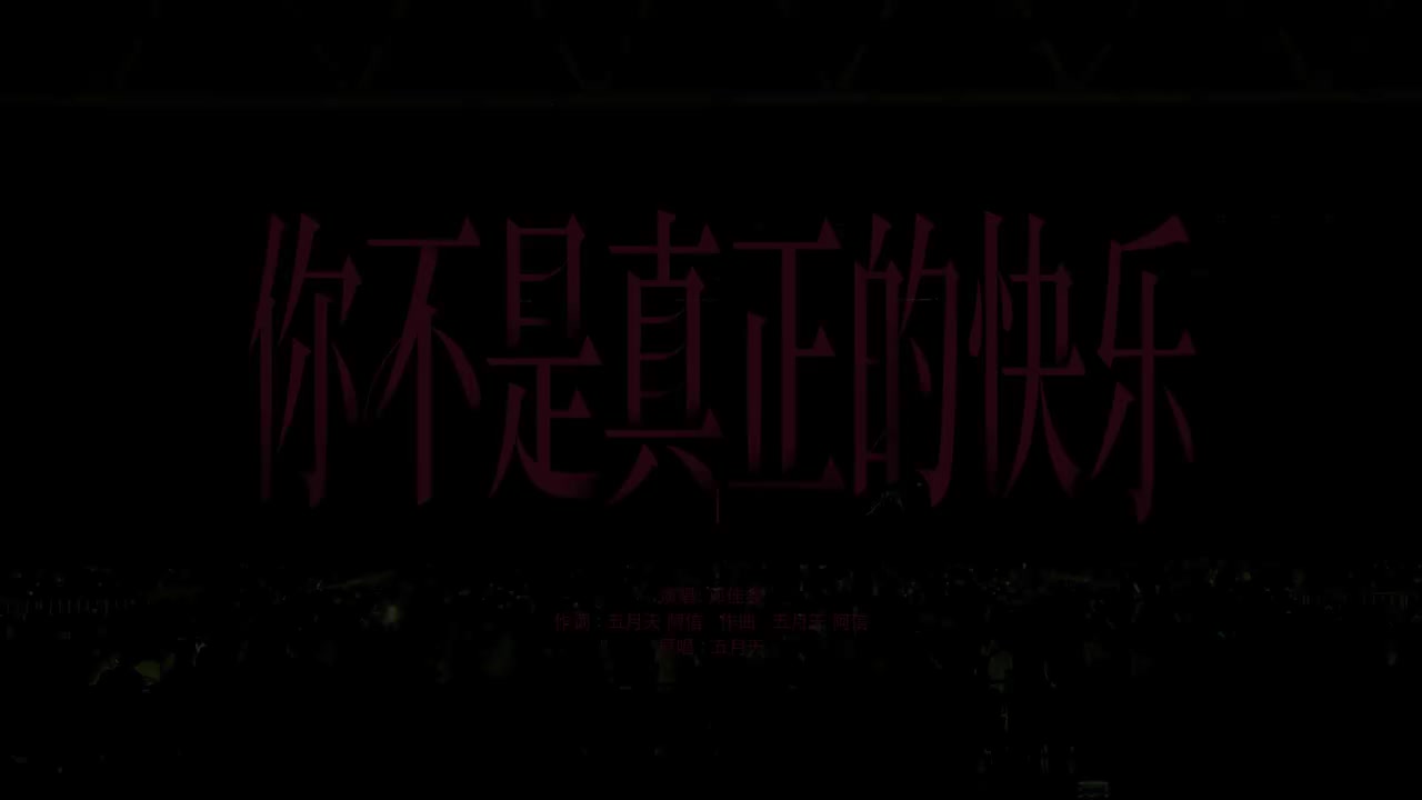 13.《你不是真正的快乐》