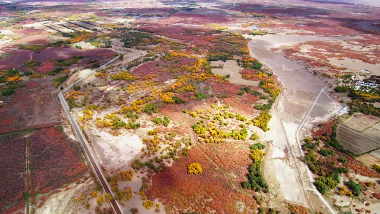 Amazing China 美丽中国 39.沙漠的守护神：胡杨