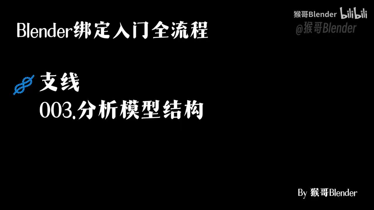 003.（🪢支线）分析模型结构