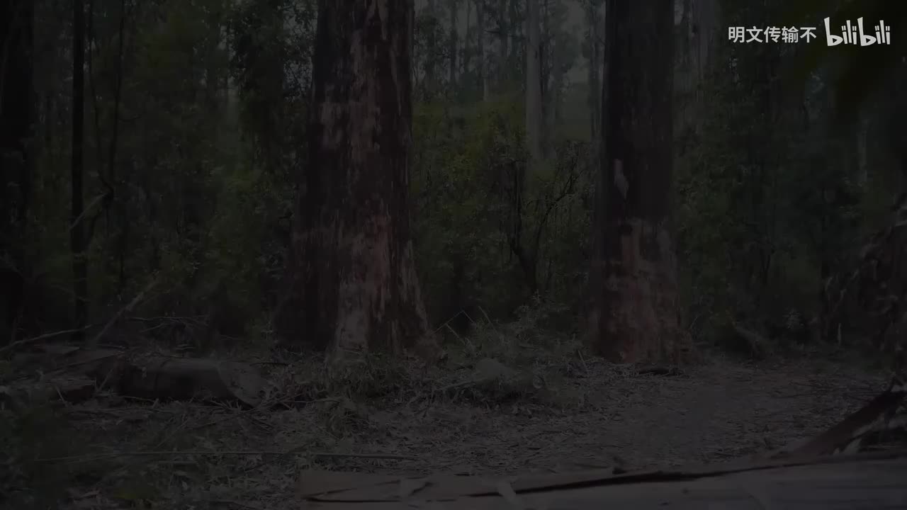 62. C++中的线程-明文传输不