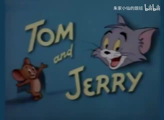 斑点猫