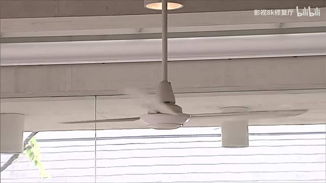 24 王蛇的秘密 下