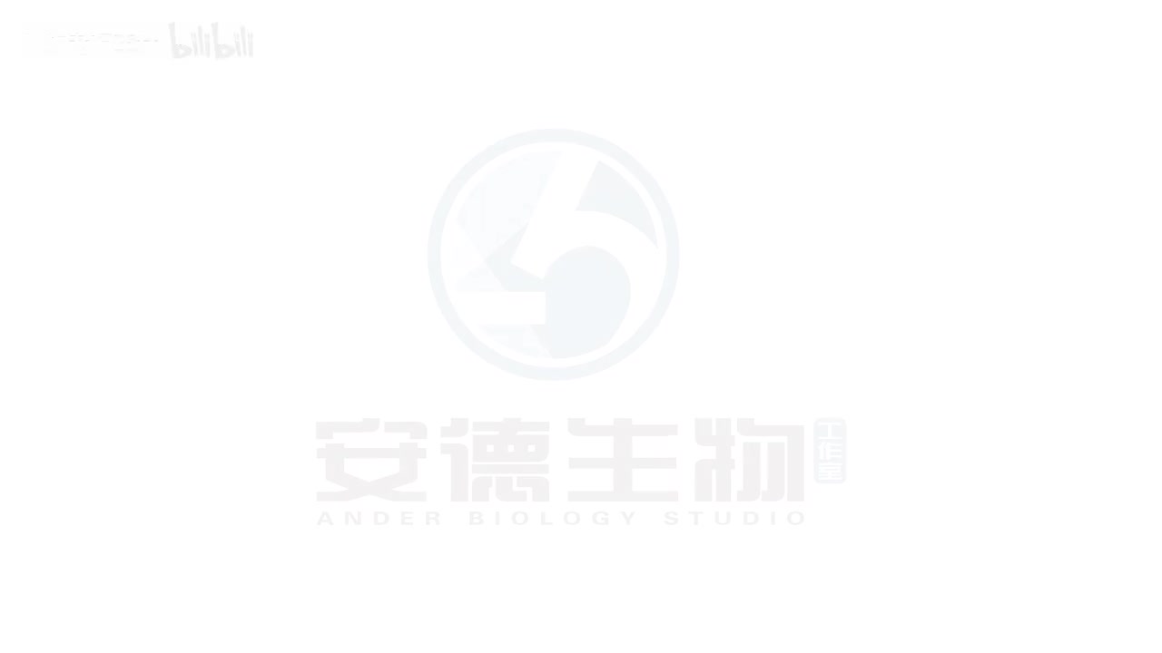 19.伴性遗传规律和方法