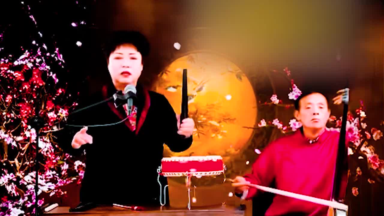 河南坠子 · 《呼家将》肖计英（37）