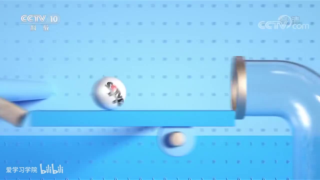 《跟着书本去旅行》20200429 美丽的西双版纳——傣乡泼水节