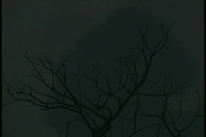 一寸相思一寸泪