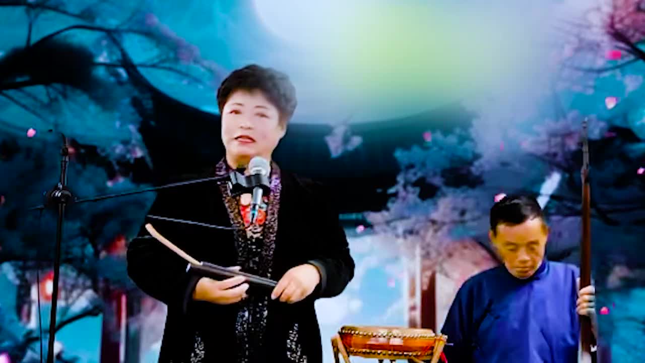 河南坠子 · 《呼家将》肖计英（9）