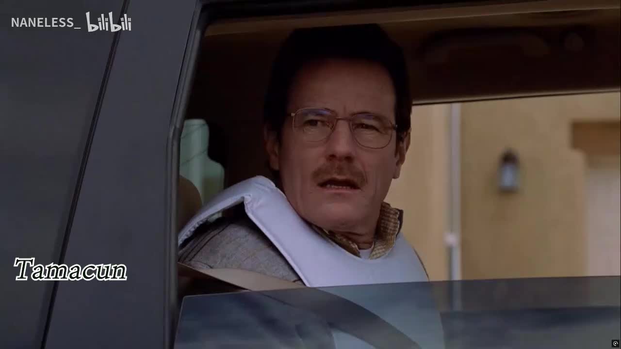 老白初见小粉 Tamacun