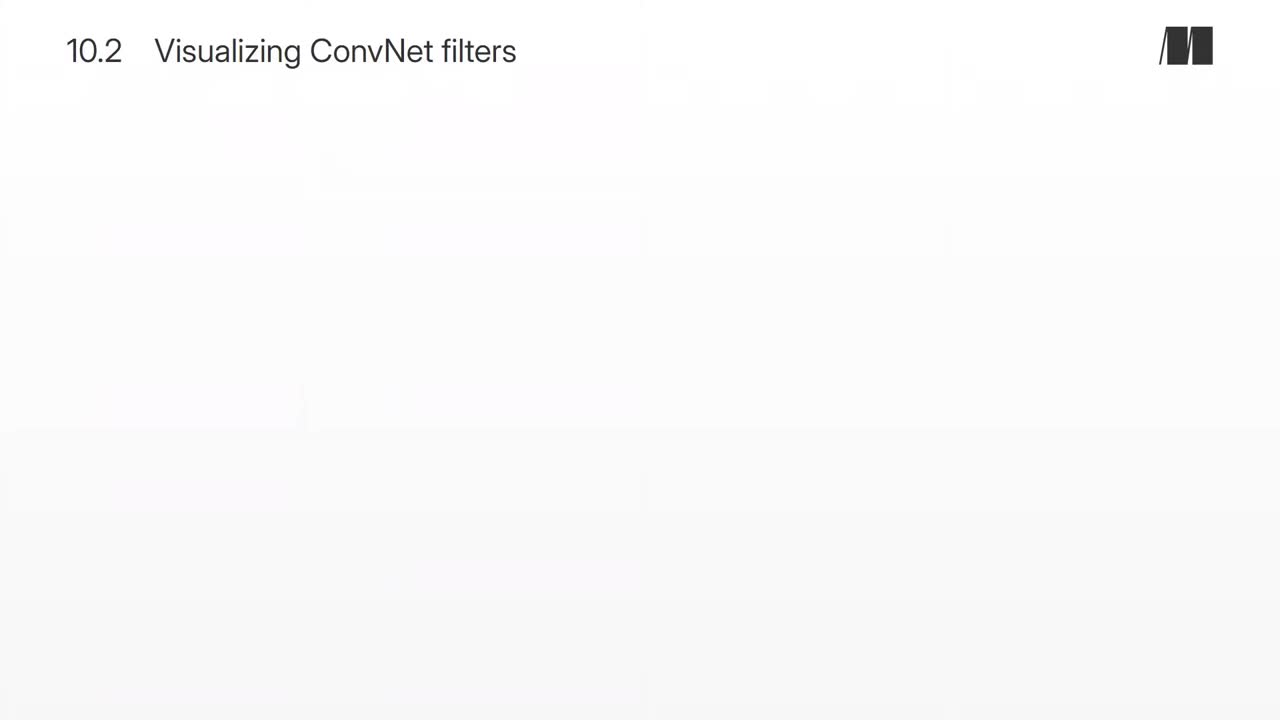 056. Chapter 10. Visualizing ConvNet filters
