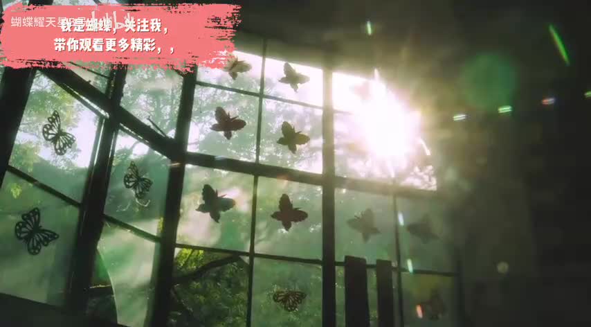 点赞投币，支持一波