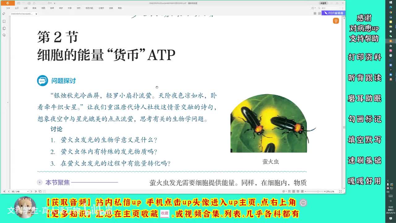 5.2细胞的能量“货币”ATP