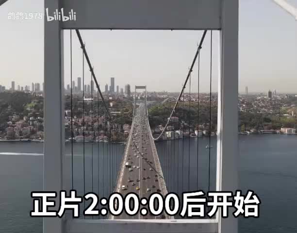 5红蜘蛛11-5