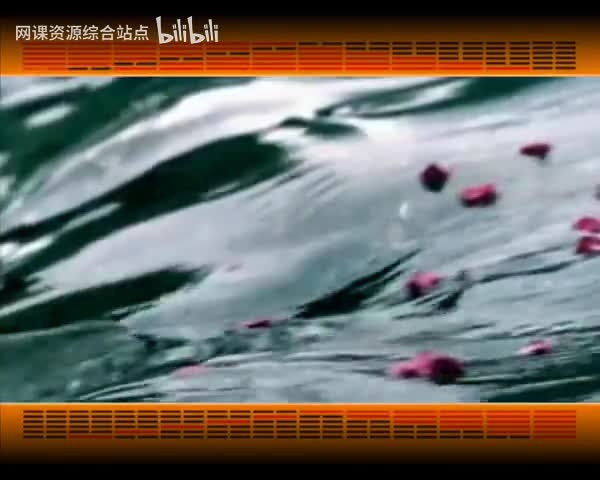 125_易经的智慧_（卦序53）_渐卦（上）循序渐进