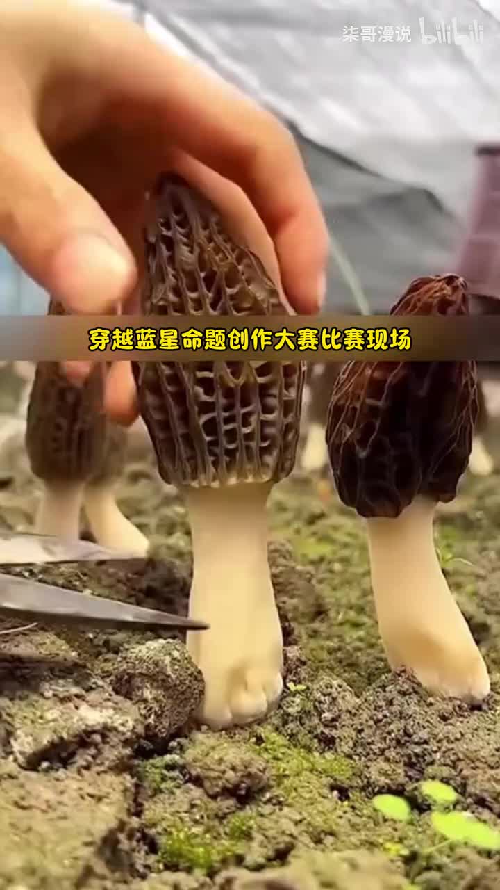 【8小时爽文】就在所有人都以为我就是个废物点心彻底摆烂时 其实我看到主题雕像的一瞬间 便想到了那句在基金会死亡不是最坏的结局 失控才是 于是我在处理完脑中的记忆