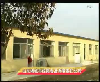 绿园食品 2012.6.17