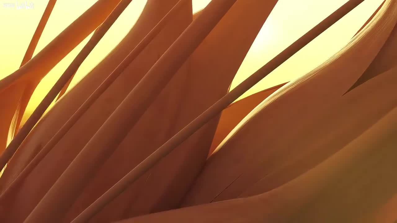 【赌侠】4K60帧 独家修复 全网最清晰 国语中字 刘德华 周星驰 向华强 张敏 吴孟达