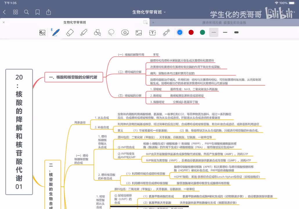 20：核酸的降解和核苷酸代谢01