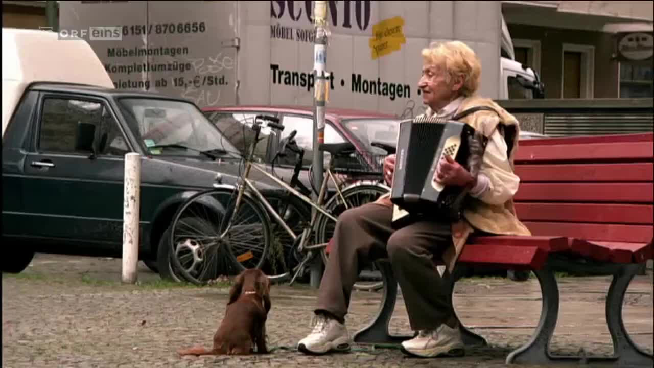 Türkisch für Anfänger (Season 2 Episode 20) Watch German TV series (German Subti