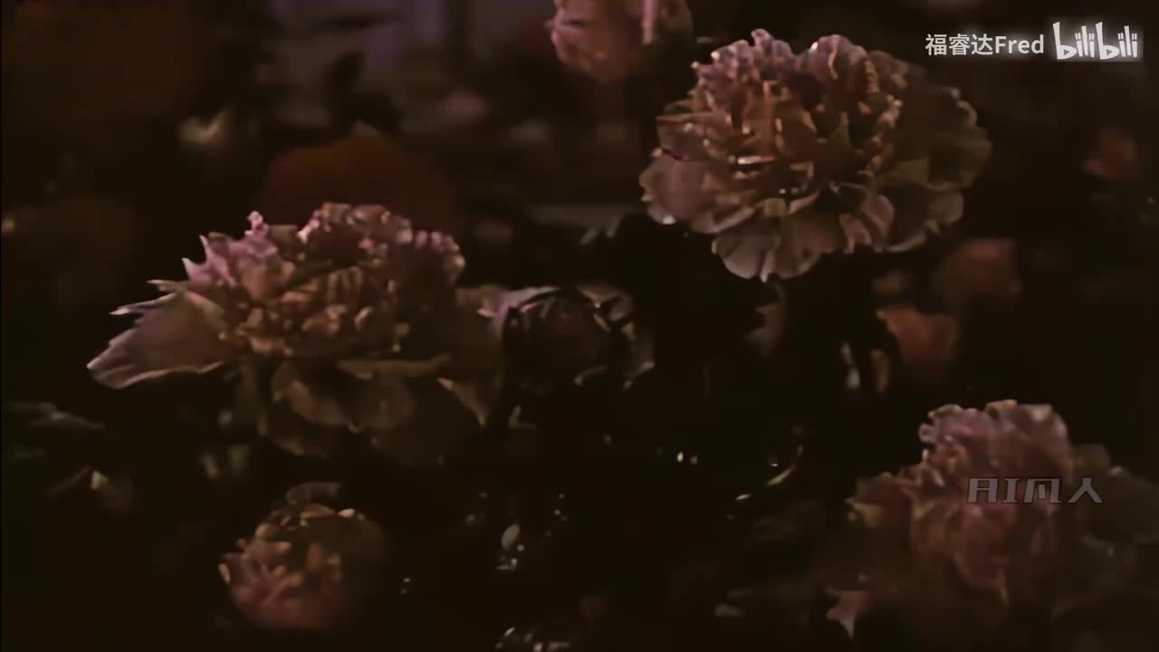 4K秦腔电影《火焰驹.表花》肖玉玲